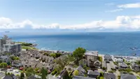 View 61