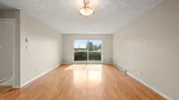 View 7
