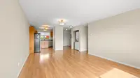 View 14
