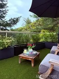 View 38