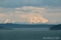 View 41