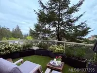 View 37