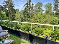 View 35