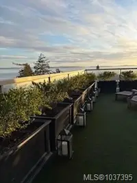 View 39