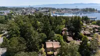 View 33