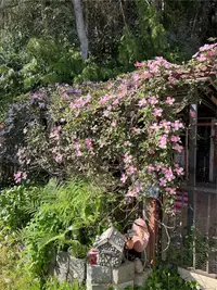 View 45