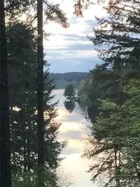 View 49