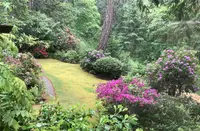 View 44