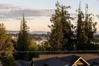 View 49