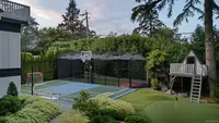 View 50