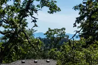 View 36