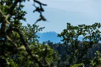 View 37
