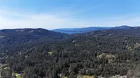 View 6