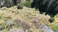 View 7