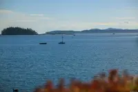 View 35