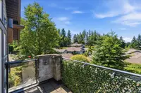 View 38