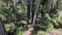 View 4