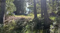 View 7