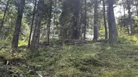 View 10