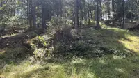 View 8