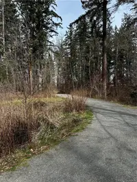 View 41