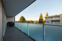 View 19