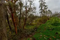 View 31
