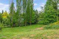 View 49