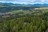 View 24