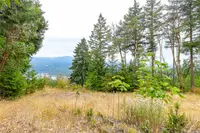 View 69