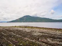View 36