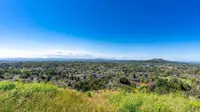 View 42
