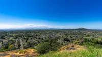 View 41