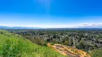 View 40