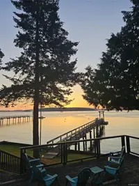 View 51
