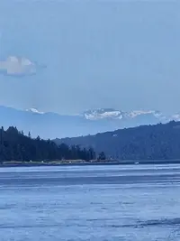 View 55