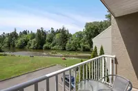 View 14