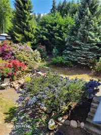 View 63