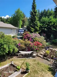 View 64