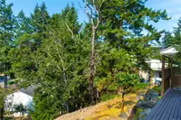 View 24