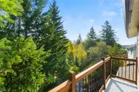 View 39