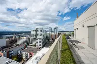 View 15