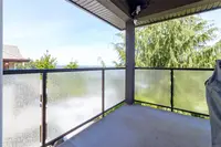 View 12