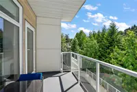 View 28