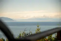 View 51