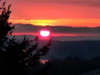 View 51
