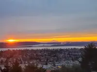 View 50