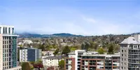 View 45