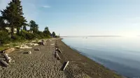 View 63