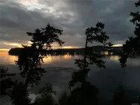 View 79